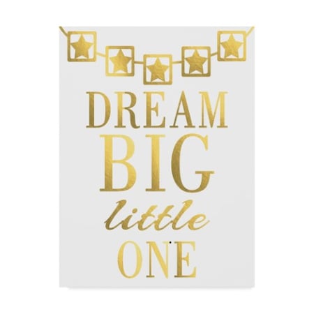 ALI Chris 'Dream Big Little One' Canvas Art,35x47